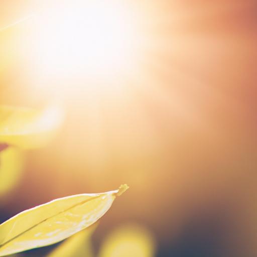 LA MAGIE DES OLOGIES : Sciences et Évolution de la Vie 🌱✨